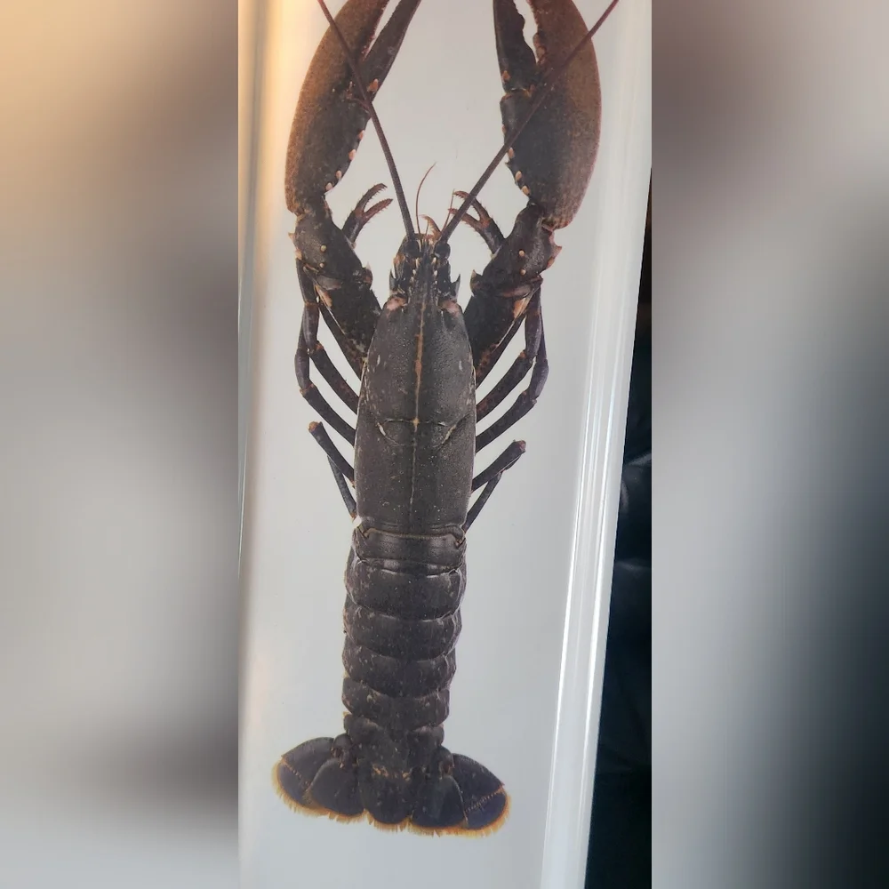 Ikea Crayfish / Lobster Serving Tray